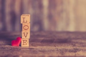 The lovers day The lovers day